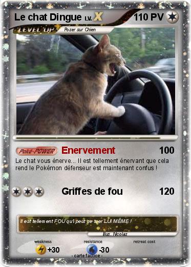 Pokemon Le chat guitare