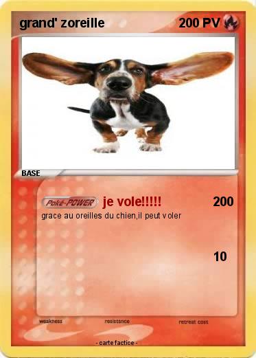 Pokemon grand' zoreille