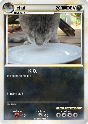 Pokemon chat                         2000000