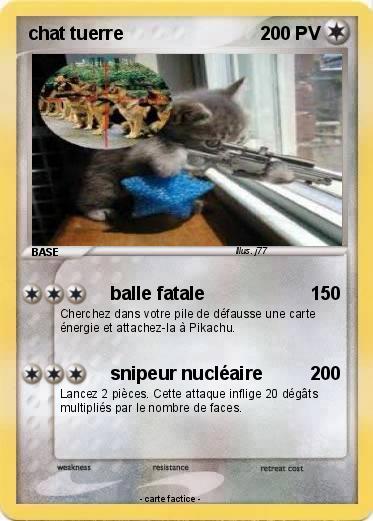 Pokemon chat tuerre