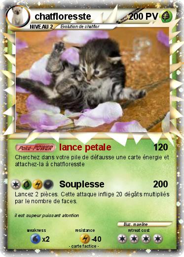 Pokemon chatfloresste