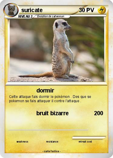Pokemon suricate