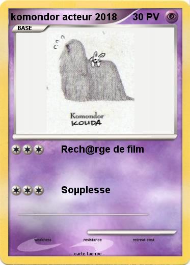 Pokemon komondor acteur 2018