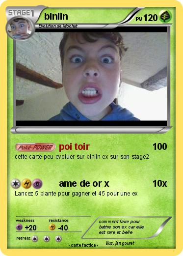 Pokemon binlin