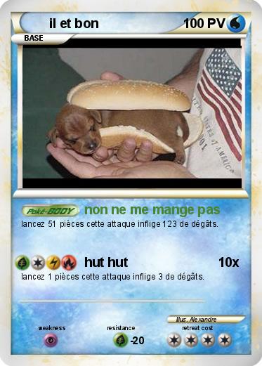 Pokemon il et bon