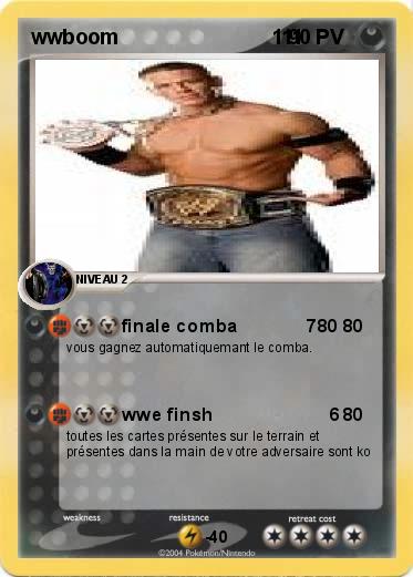 Pokemon wwboom                           111