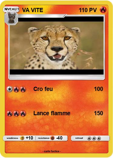 Pokemon VA VITE