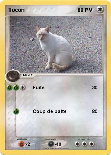 Pokemon flocon