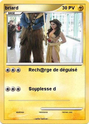 Pokemon briard