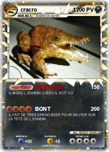 Pokemon cracro                        1                                 i