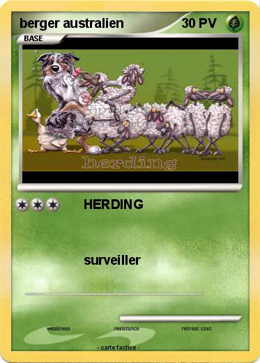 Pokemon berger australien