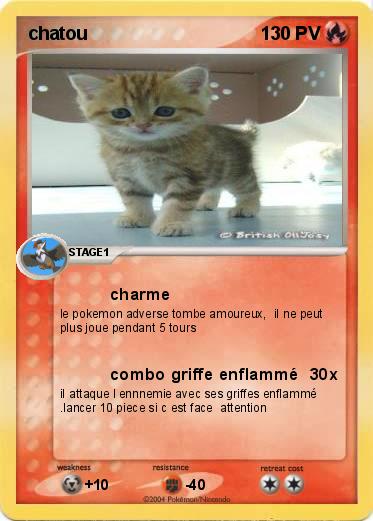 Pokemon chatou