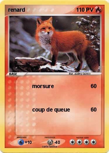 Pokemon renard