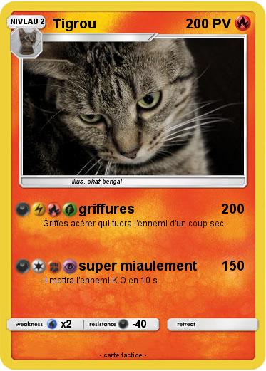 Pokemon Tigrou