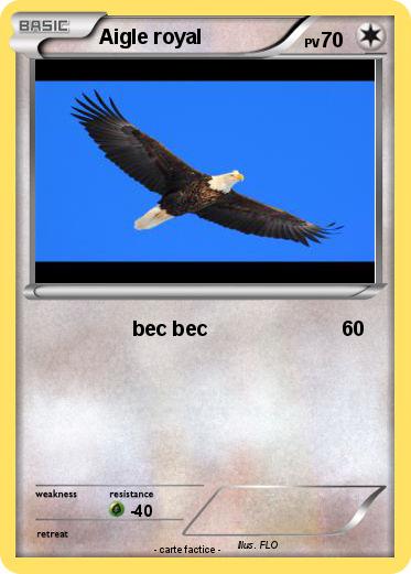 Pokemon Aigle royal