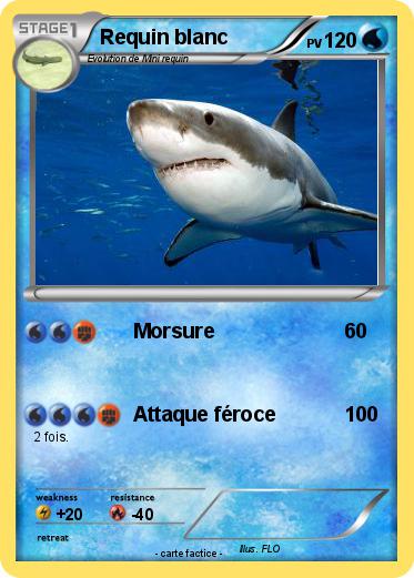 Pokemon Requin blanc