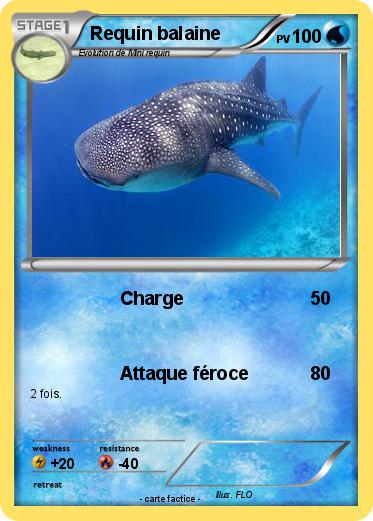 Pokemon Requin balaine