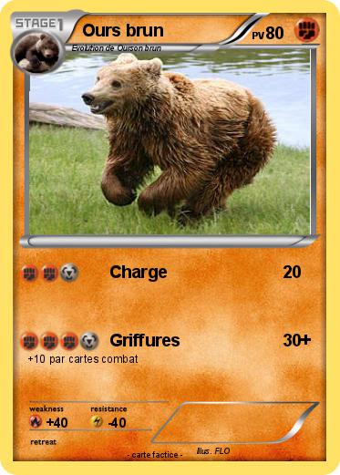 Pokemon Ours brun