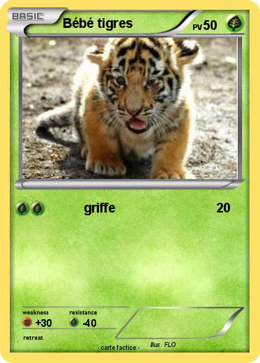 Pokemon Bébé tigres