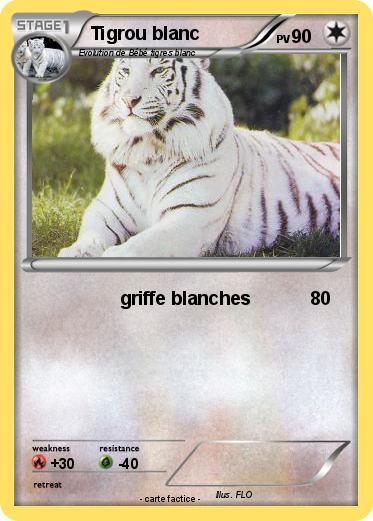 Pokemon Tigrou blanc