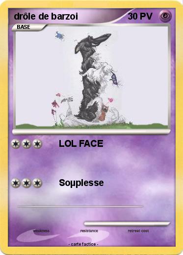Pokemon drôle de barzoi