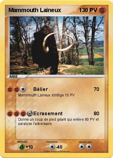 Pokemon Mammouth Laineux 