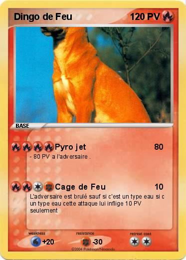 Pokemon Dingo de Feu 