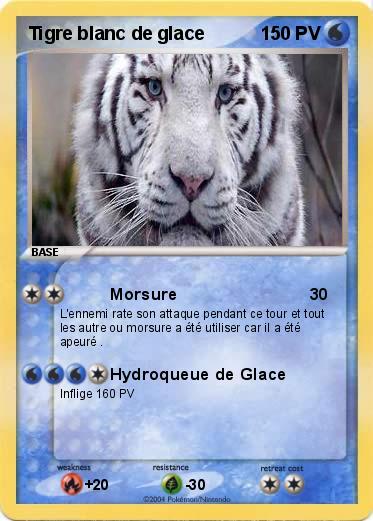 Pokemon Tigre blanc de glace 