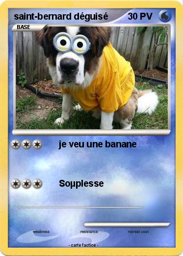 Pokemon saint-bernard déguisé