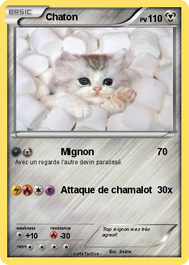 Pokemon Chaton