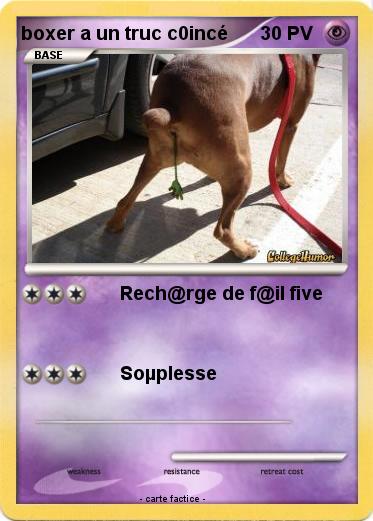 Pokemon boxer a un truc c0incé