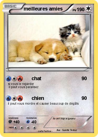 Pokemon meilleures amies