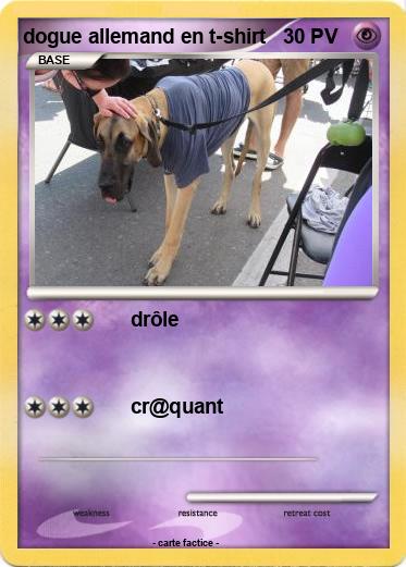 Pokemon dogue allemand en t-shirt