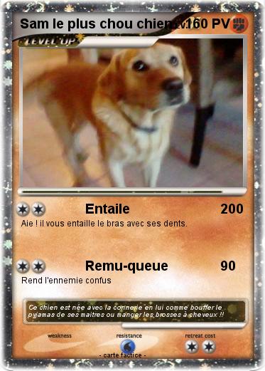 Pokemon Sam le plus chou chien