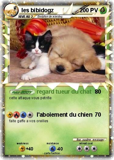 Pokemon les bibidogz