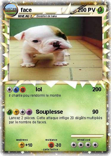 Pokemon face