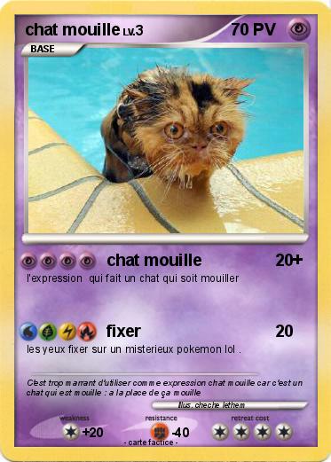 Pokemon chat mouille