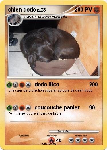 Pokemon chien dodo