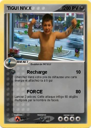 Pokemon TIGUI NIV.X