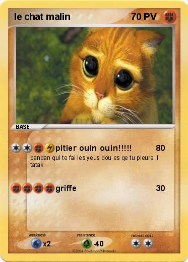 Pokemon le chat malin
