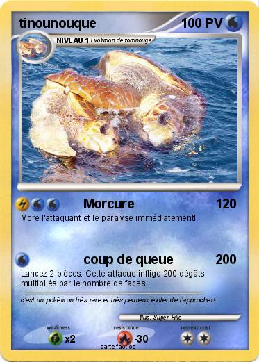 Pokemon tinounouque