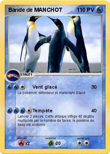 Pokemon Bande de MANCHOT