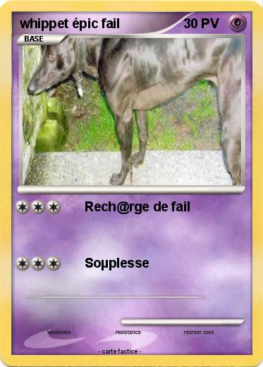 Pokemon whippet épic fail