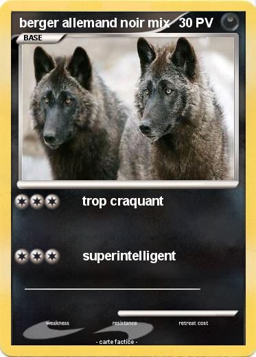 Pokemon berger allemand noir mix