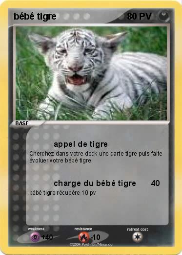 Pokemon bébé tigre