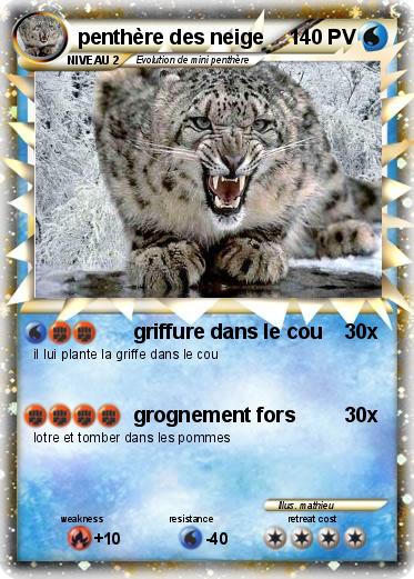 Pokemon penthère des neige