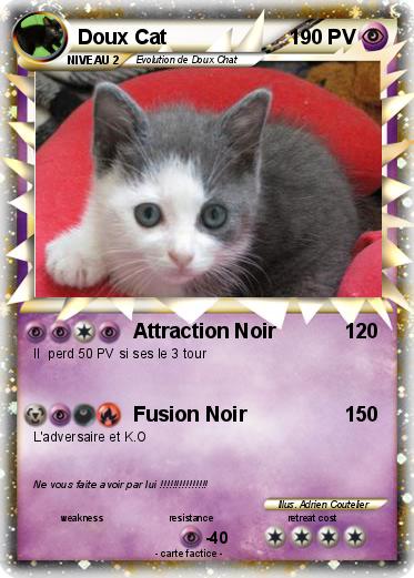 Pokemon Doux Cat