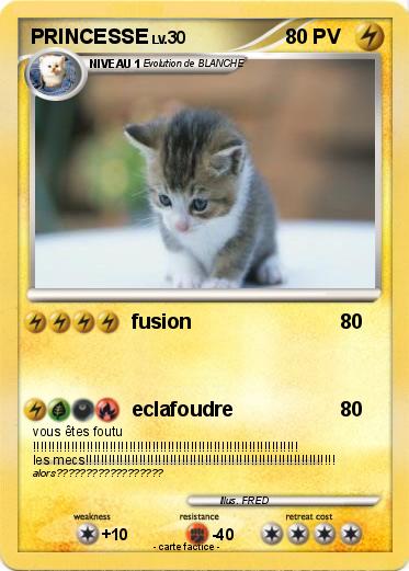 Pokemon PRINCESSE