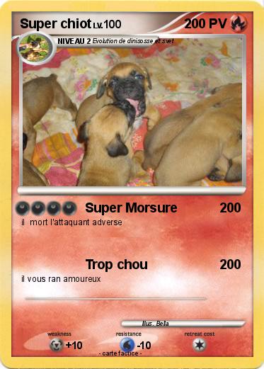 Pokemon Super chiot