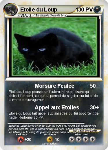 Pokemon Etoile du Loup